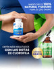 Miniatura de imagen